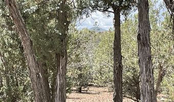 154 153 Gleed Sta, Ash Fork, AZ 86320