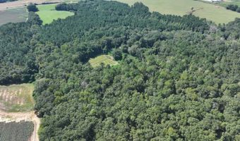 4496 State Hwy 130, Banks, AL 36005