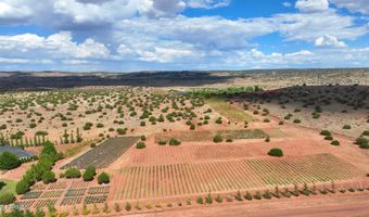 14 COUNTY ROAD 5309, Concho, AZ 85924