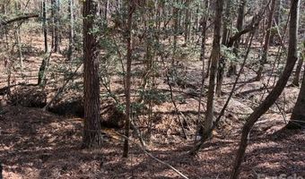 12 68 Acre 99 Rd, Blair, SC 29015