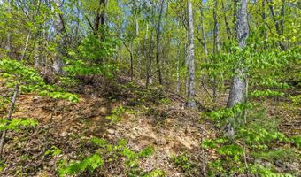 21 Reillys Bluff Rd 1, Barnardsville, NC 28709