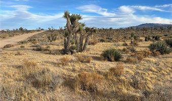 23926 Poppy Rd, Apple Valley, CA 92308