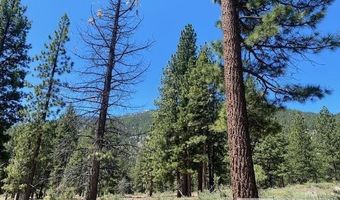3584 Knob Point Trl Lot 94, Carson City, NV 89705