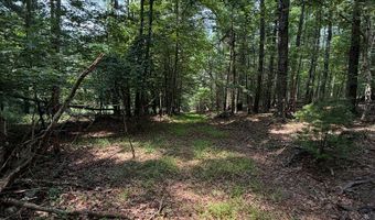 Hall Hollow Road, Austinville, VA 24312