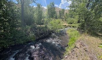9885 Challis Creek Rd, Challis, ID 83226