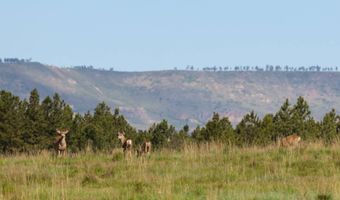 NHN Tongue River Rd, Ashland, MT 59003