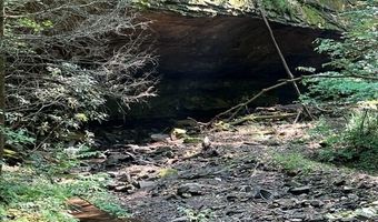 Coperas Cave Branch, Beattyville, KY 41311