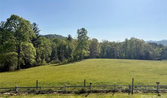377 Upper Grassy Branch Rd, Asheville, NC 28805