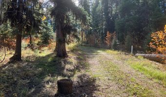 541 W Mountain Rd Lot 58, Cascade, ID 83611