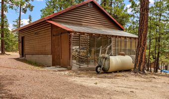 9 Co Rd 2074 # 2074, Alpine, AZ 85920