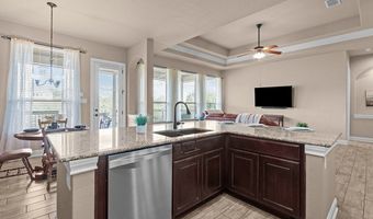 1926 Alpine Mist, San Antonio, TX 78258