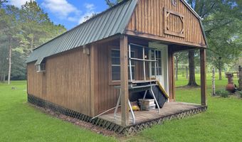 704 Pinola Braxton Rd, Braxton, MS 39044