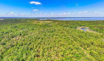 93 Acres Dell Rd, Bainbridge, GA 39819