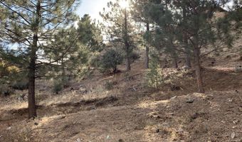36796 Goldshot Creek Rd, Mountain Center, CA 92561