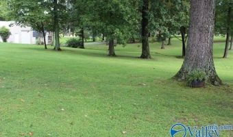 329 7th Ave NE, Arab, AL 35016