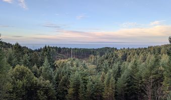 18950 TIMEUS RANCH Rd, Brookings, OR 97415