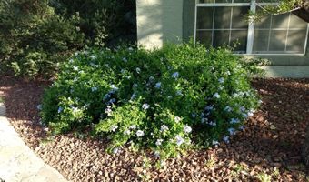 1 Cielo Dorado Dr, Anthony, NM 88021