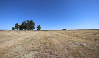 40 Hopkins Divide Loop, Buffalo, WY 82834