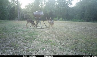 2233 Holloman Rd, Bentonia, MS 39040