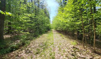 390 Mathews Rd Lot 6, Alexandria, NH 03222