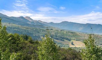 927 Red Mountain Rd, Aspen, CO 81611