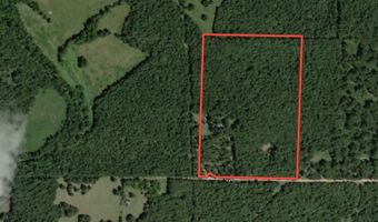 755 County Road 224a, Alton, MO 65606