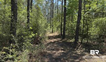 Ronald Sanks Road, Bay Minette, AL 36507