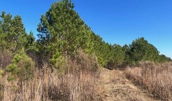 1300 Red Oak Rd, Barnwell, SC 29812