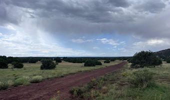 460 461 CR8301, Concho, AZ 85924