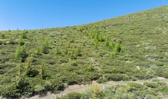 0 1680 NFS Rd, Unity, OR 97884