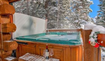 229 Lee Ln, Breckenridge, CO 80424