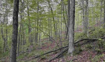 7046 S State Road 145, Birdseye, IN 47513