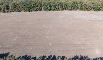 County Road 236 lot 4, Bell, FL 32619
