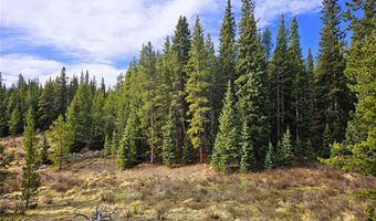 PCS # 7765 & 12057 Rollies Trail lot 0, Alma, CO 80420