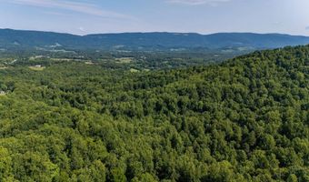 2476 ENNIS MOUNTAIN Rd, Afton, VA 22920