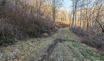 NC 209 Highway, Aurora, NC 28743