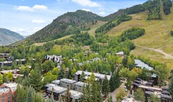650 S Monarch St Unit 11, Aspen, CO 81611
