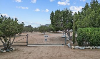32923 Tindall Ave, Acton, CA 93510