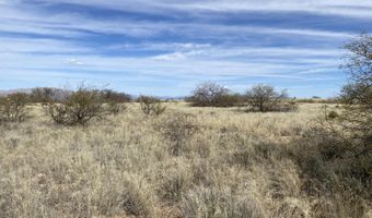 2 4acres W Conaway Cir 201, Benson, AZ 85602