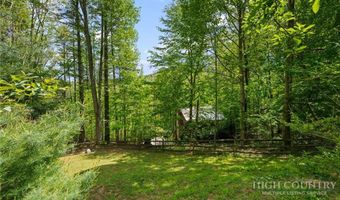 830 W Tweetsie Ln, Banner Elk, NC 28604