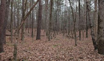 Lots B & C Miller Road, Camden, SC 29020