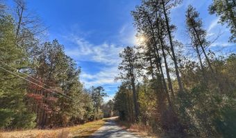 0 County Road 25, Reform, AL 35481