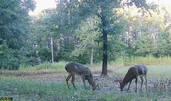 14782 County Road 7990, Bakersfield, MO 65609