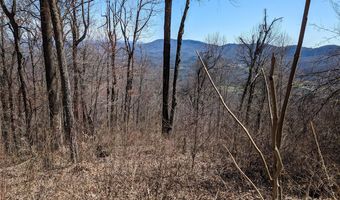 2687 Creston Dr T-26, Black Mountain, NC 28711