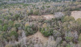 County Road 91, Banks, AL 36005