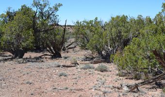 N8604, Concho, AZ 85924