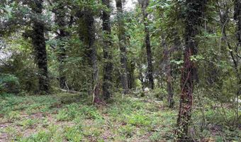 7 TH Ave Lot 1, Ashville, AL 35953