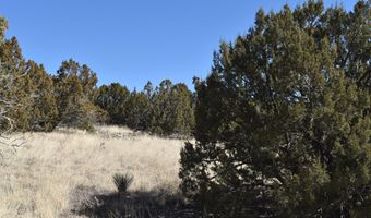 Tbd Stanford Road, Concho, AZ 85924