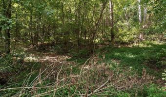 N Fork River Road, Abingdon, VA 24210