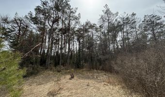 5280 Cathro Rd, Alpena, MI 49707